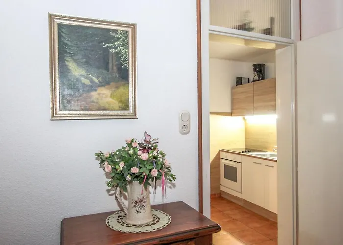 Апартаменты Am Birkenhain.29 *